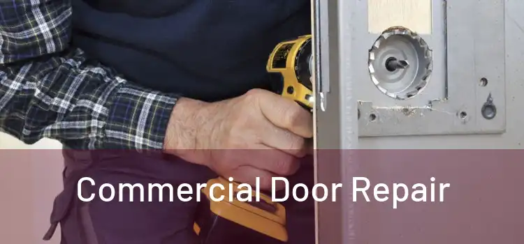 Commercial Door Repair